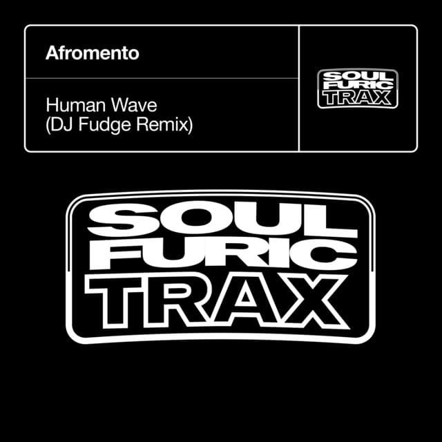 human wave (dj fudge remix) cover