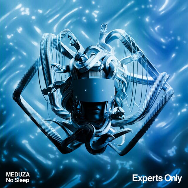 meduza - no sleep cover