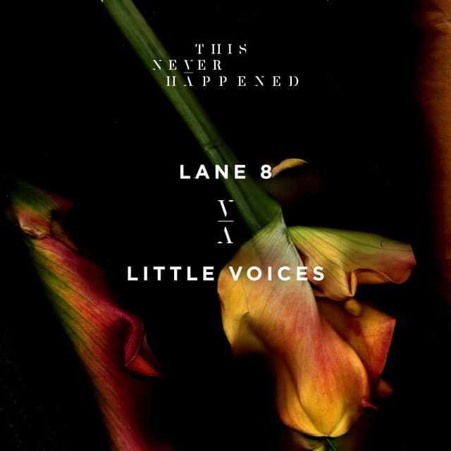 lane 8 - little voices cover
