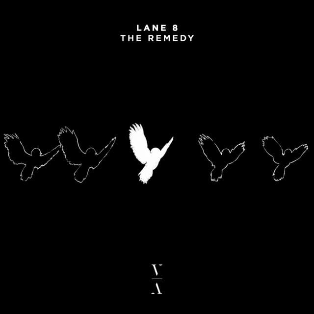 lane 8 - the remedy cover