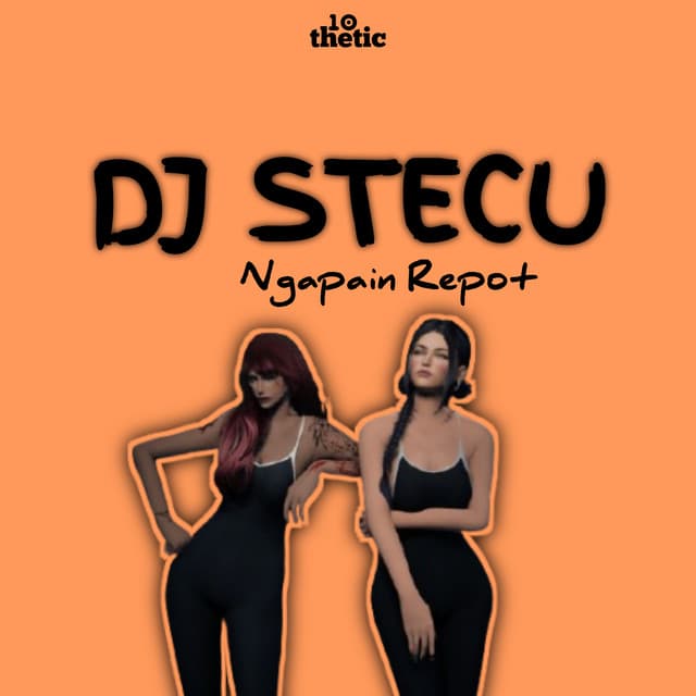DJ Stecu X Ngapain Repot