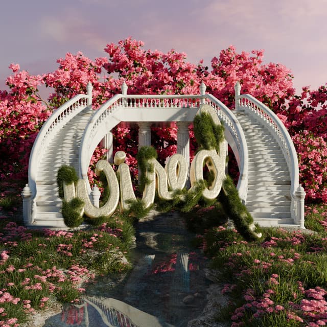 tapinda cover