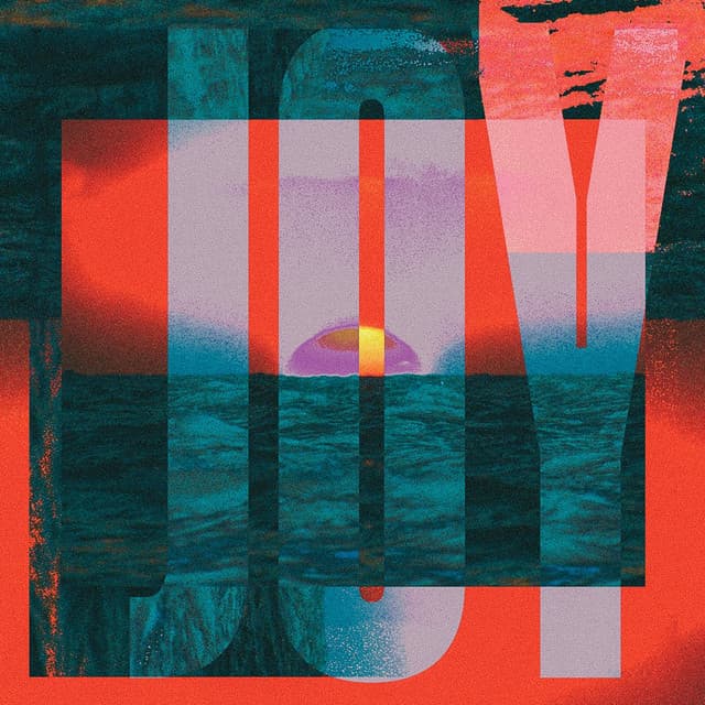 Joy cover