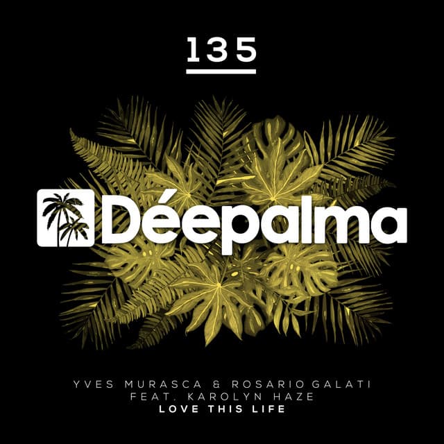 Love This Life feat. Karolyn Haze (Extended Instrumental Version) cover