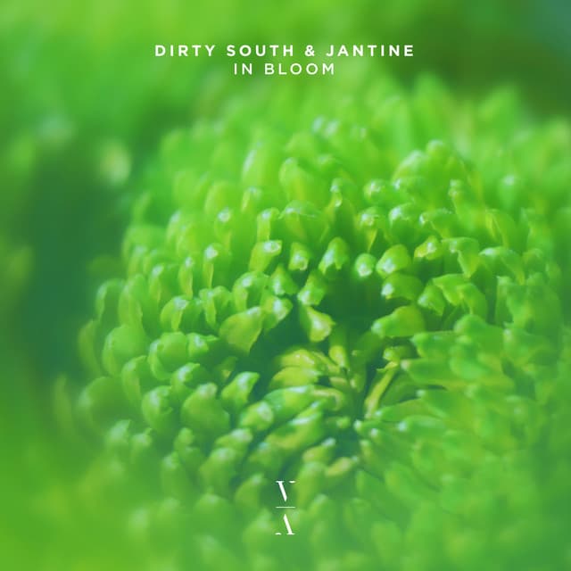 dirty south ft. jantine - in bloom cover