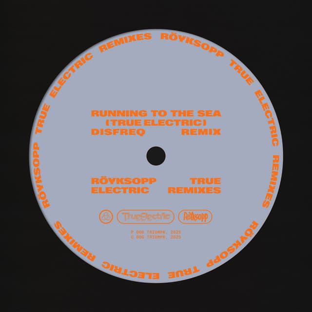 Running To The Sea (Disfreq Remix)