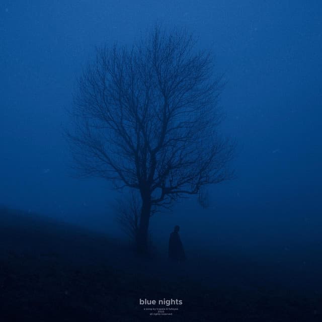 Blue Nights cover