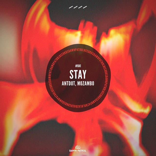 stay cover