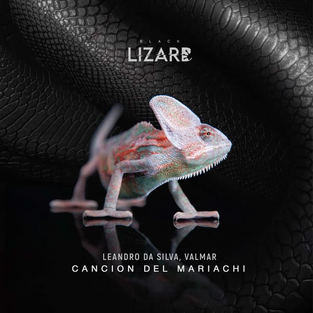 leandro da silva & valmar - cancion del mariachi cover