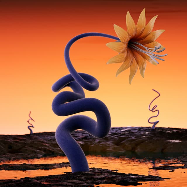 argia - chavala cover