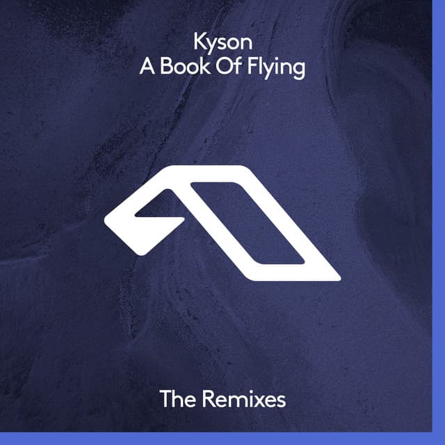 A Song About The Future (Dave DK Remix) cover