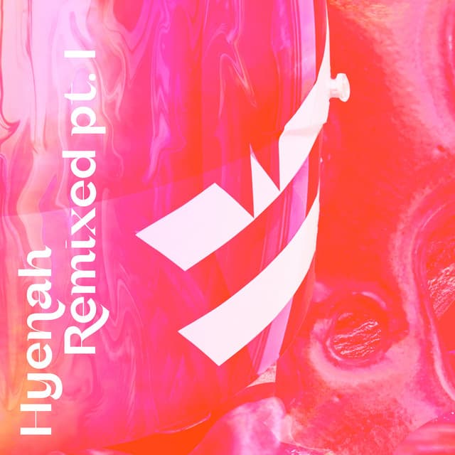 hyenah & nanghiti - your love (caiiro remix) cover