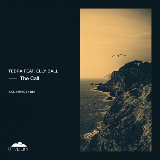 tebra ft. elly ball - the call (dsf remix) cover