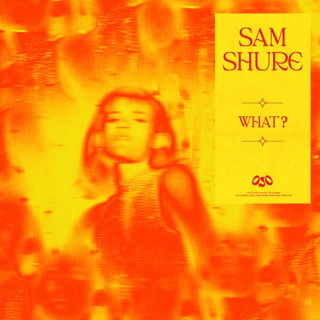 sam shure - what? cover
