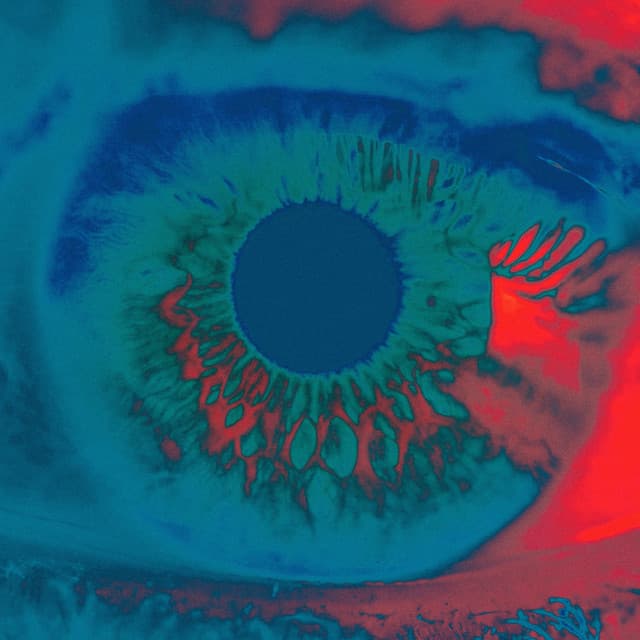 chromatics - shadow (maceo plex remix) cover