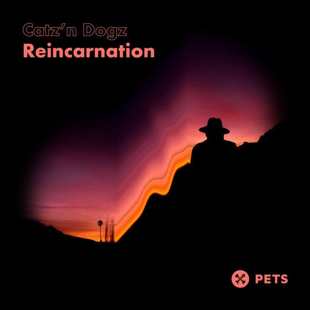 catz 'n dogz - reincarnation cover