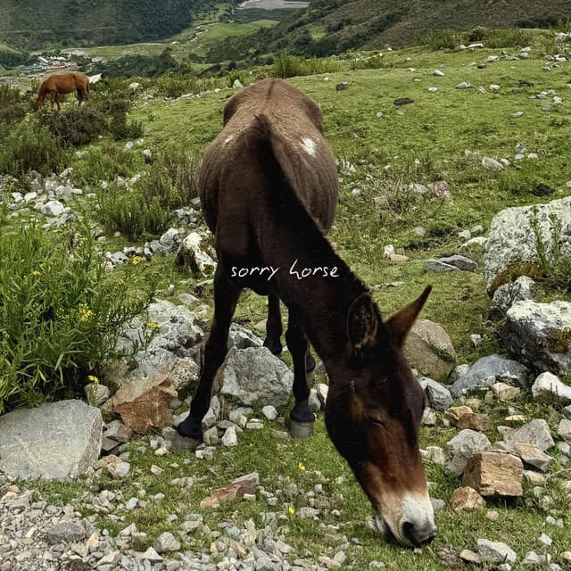 Sorry Horse (Demo)