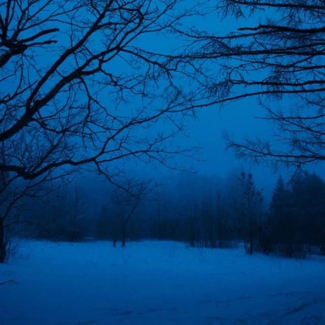 evening rain