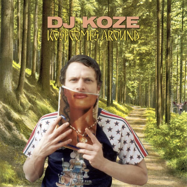 dj koze - don't feed the cat cover