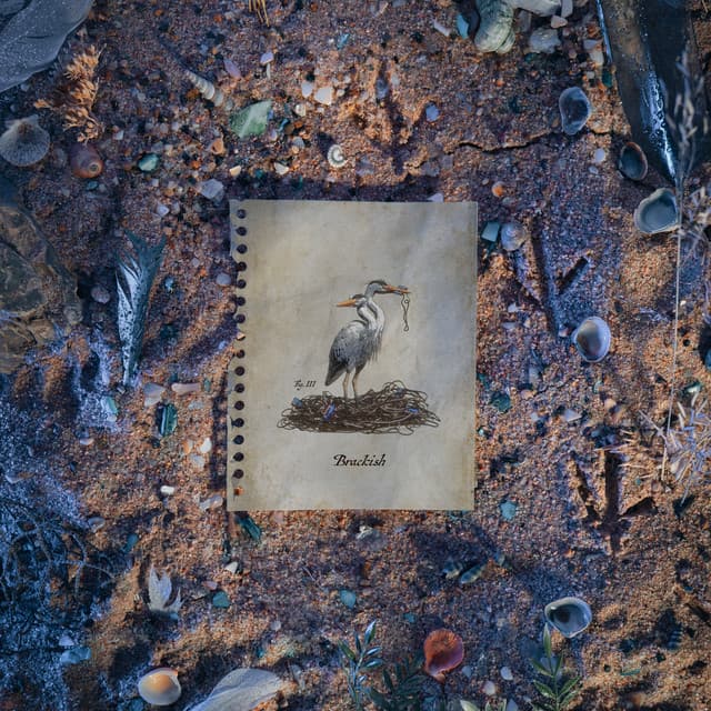 Brackish
