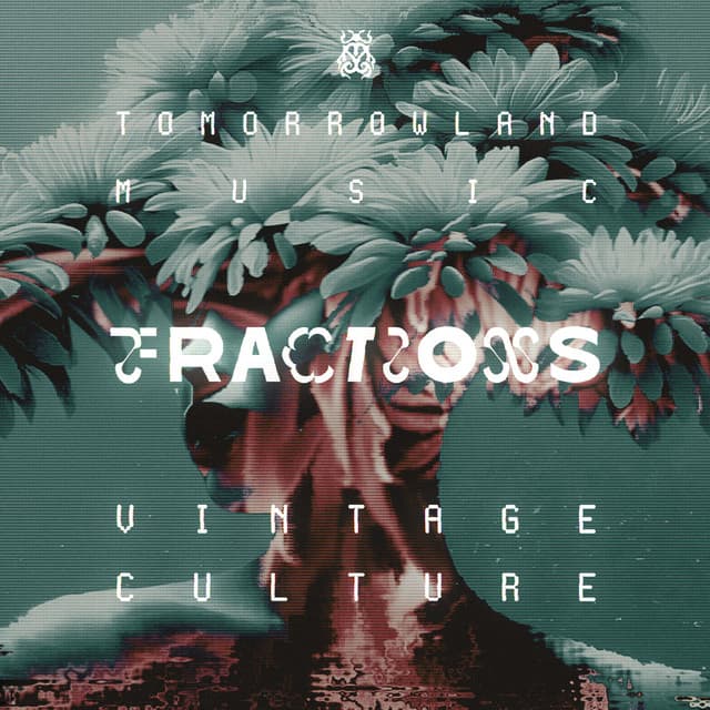 vintage culture - fractions cover