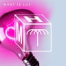 What Is Luv - Extended Mix