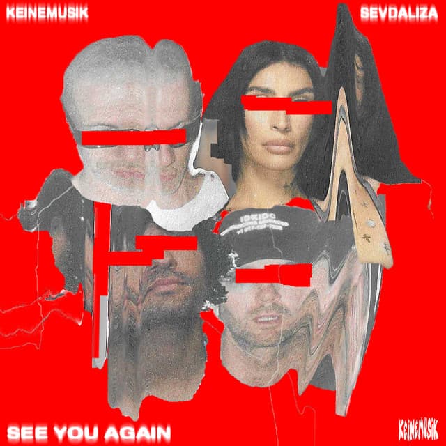 see you again cover