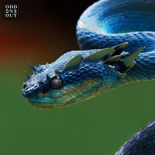 Is This Trance? (Original Mix) cover