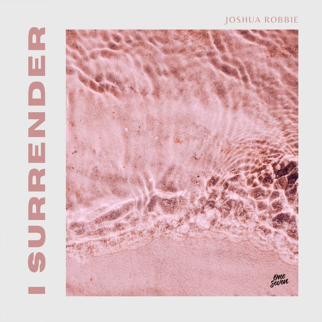 I Surrender (Original Mix) cover