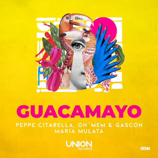 peppe citarella & oh'mem & gascón & maria mulata - guacamayo cover