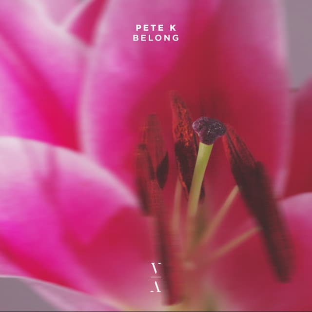 pete k - belong cover