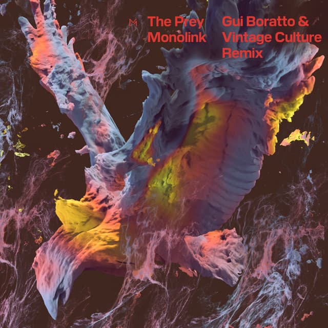 monolink - the prey (gui boratto & vintage culture remix) cover
