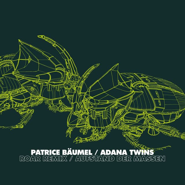 Roar (Adana Twins Remix) cover