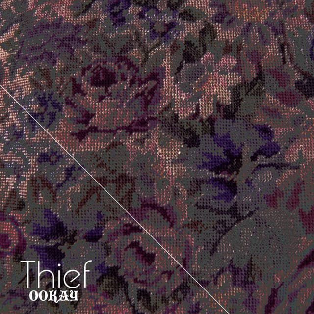 thief cover