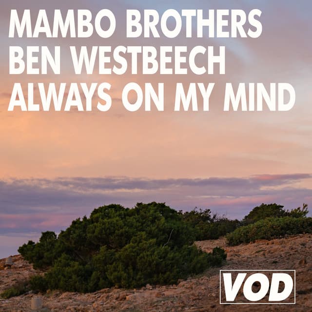 mambo brothers & ben westbeech - always on my mind cover
