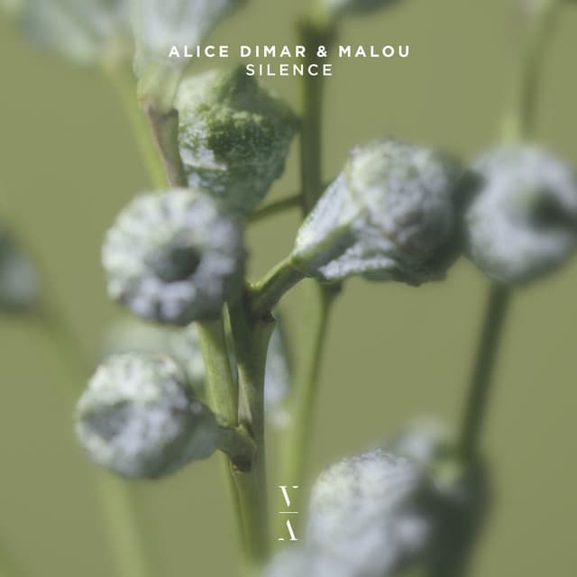 alice dimar & malou - silence cover
