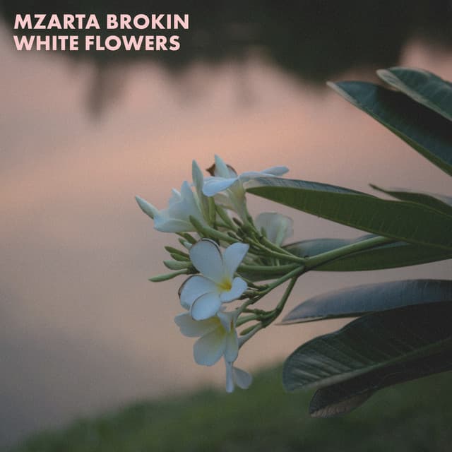 White Flowers cover