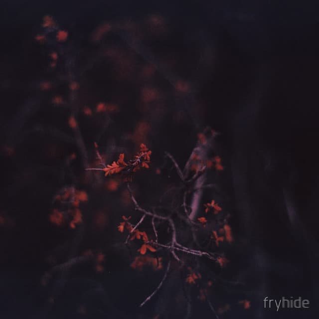 Ride (Original Mix) cover