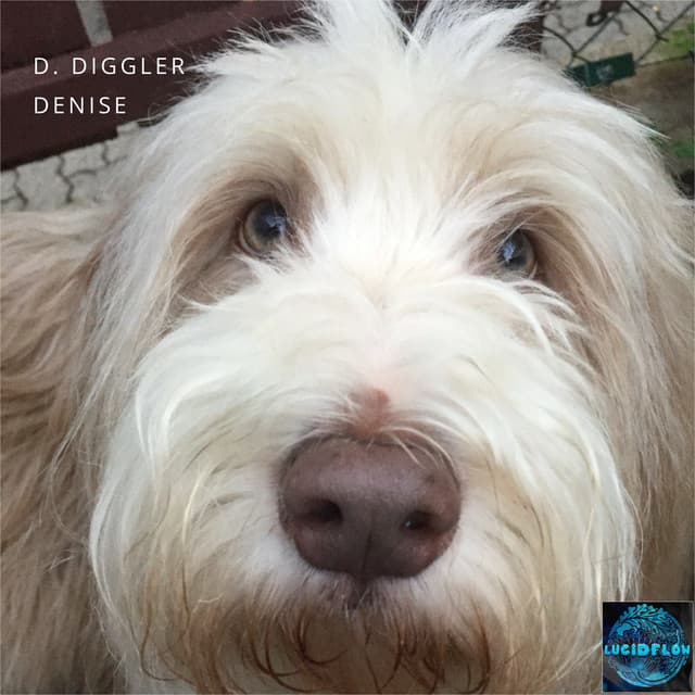 d. diggler - fur falls cover