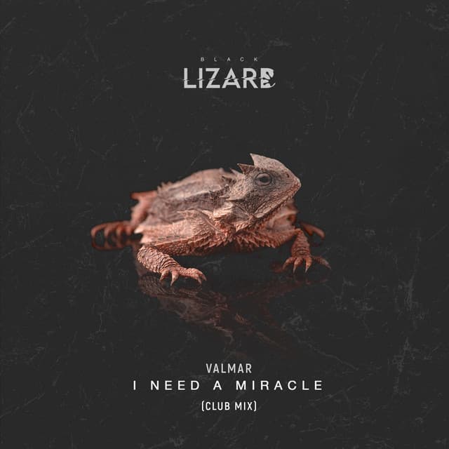 I Need A Miracle (Club Mix)