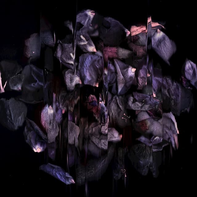 trevino - mosaic cover