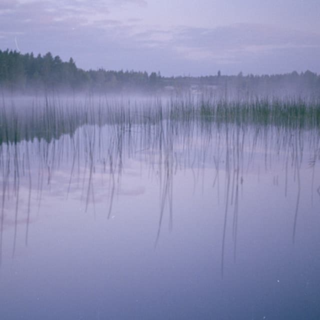 parusi cover