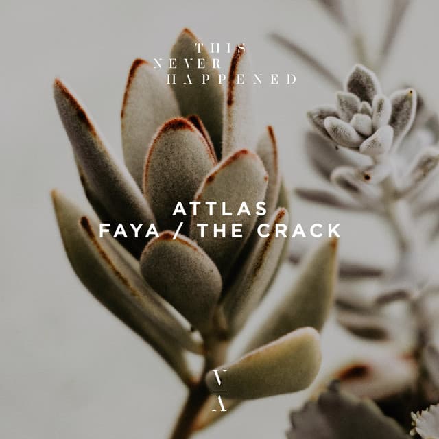 Faya cover