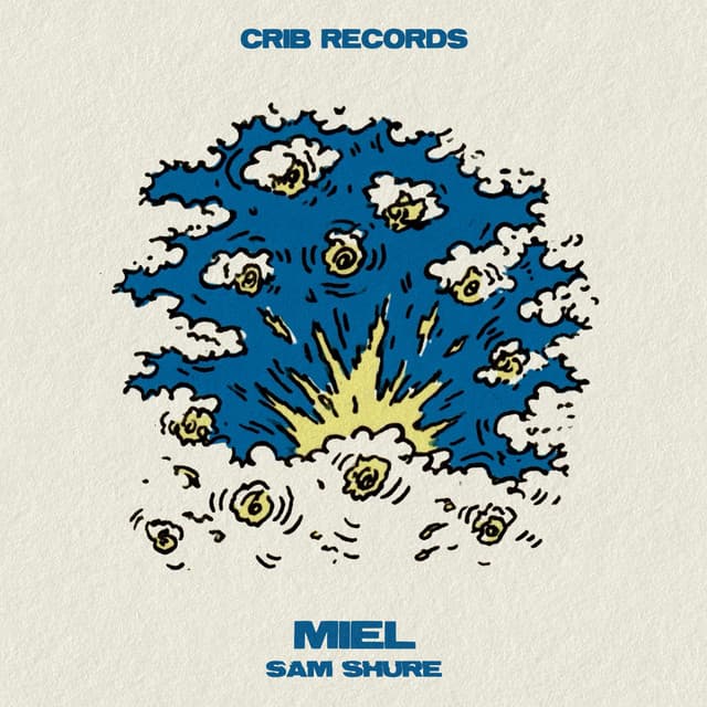sam shure - miel cover