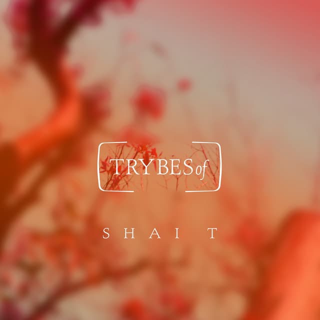 shai t - storyteller cover