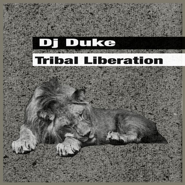 dj duke - tribal journey (sun mix) cover
