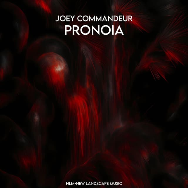 joey commandeur - pronoia cover