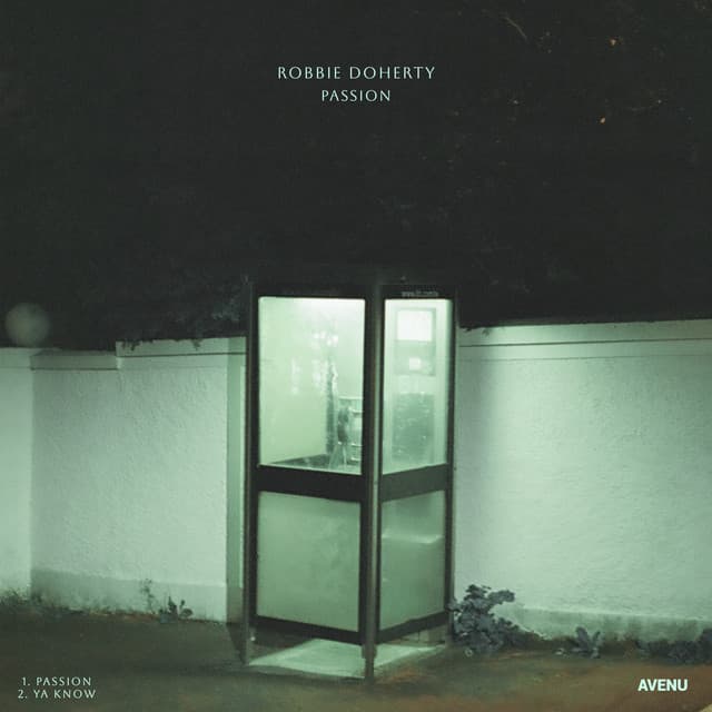 robbie doherty - passion cover