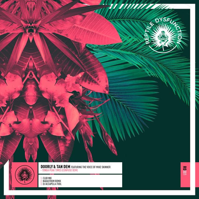doorly & tan dem ft. the voice of mike skinner - tonga peak times (confuse dem) cover