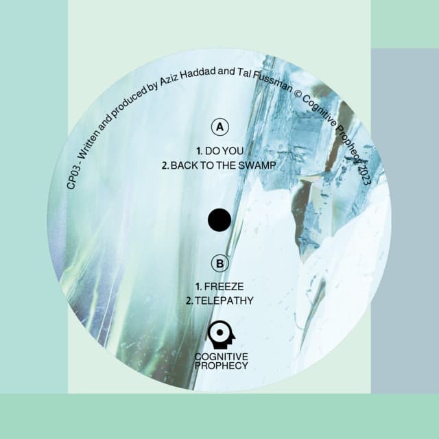 tal fussman & skatman - do you cover